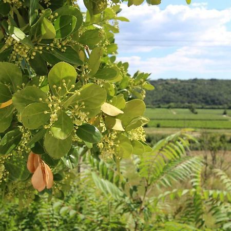 Vila Flora Secovlje Bagian luar foto