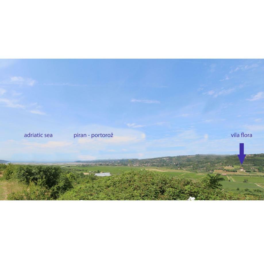 Vila Flora Secovlje Bagian luar foto