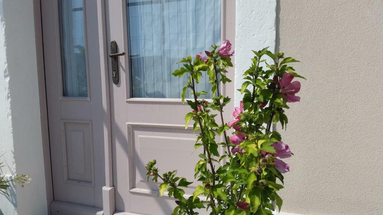 Vila Flora Secovlje Bagian luar foto