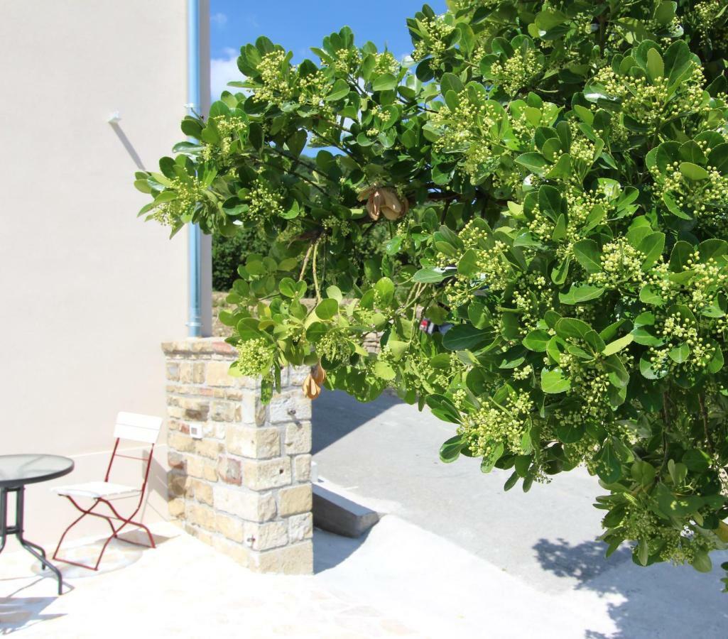 Vila Flora Secovlje Bagian luar foto