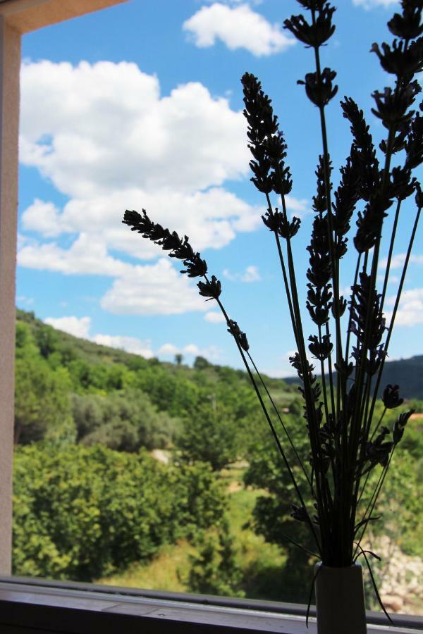 Vila Flora Secovlje Bagian luar foto