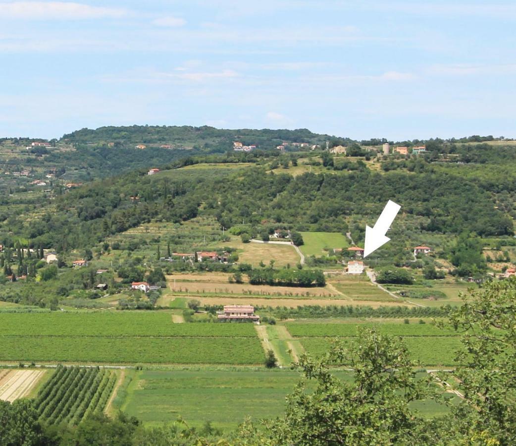Vila Flora Secovlje Bagian luar foto